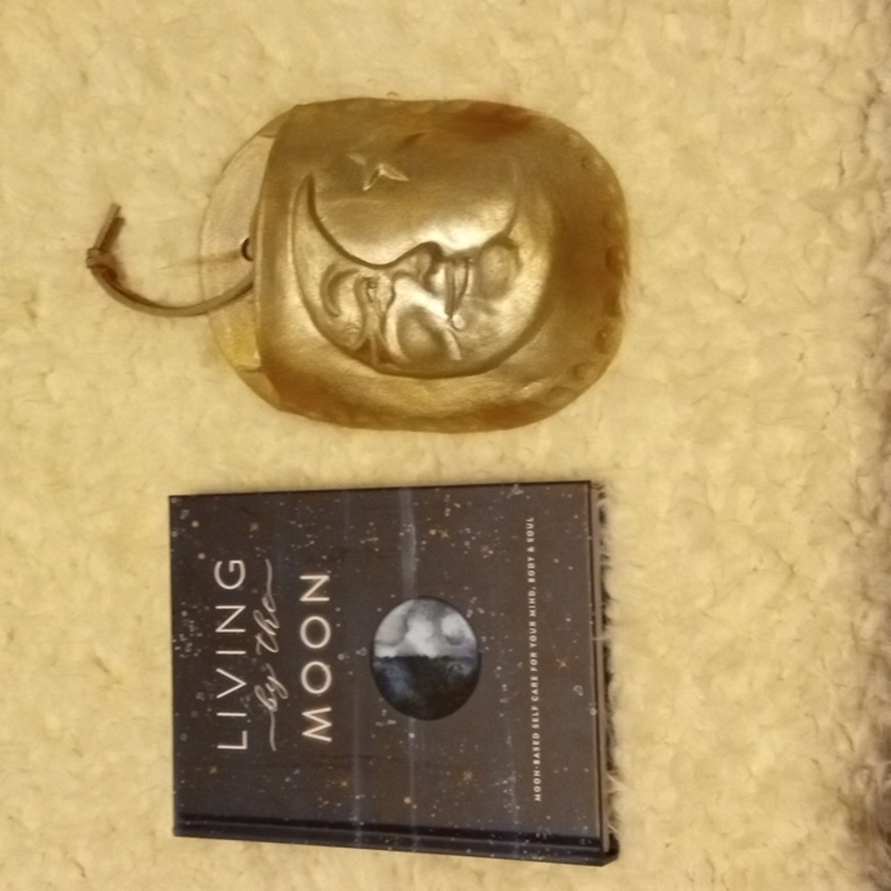 🌛🌞🌟Moon Bundle Wall Pocket & Moon Book